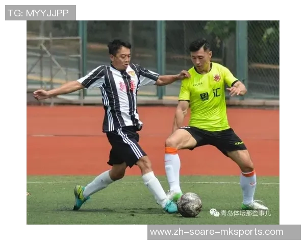 海南新豪石业队:草根劲旅,本乡荣耀 海南新豪石业队:草根劲旅,本乡荣耀